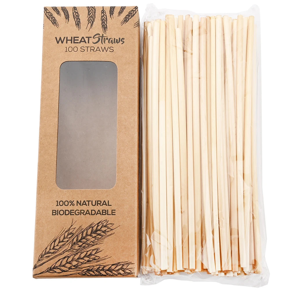 Biodegradable Wheat Straw Set | Green Gift Collective