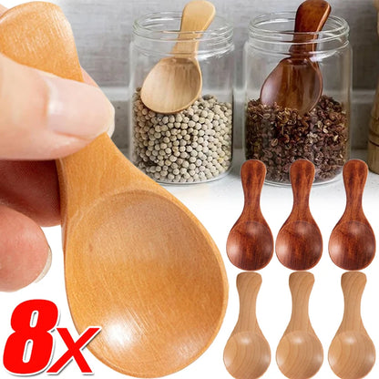 EcoScoop: Natural Wooden Spoons Scoop Tea Honey Coffee Condiment Salt Sugar | Green Gift Collective