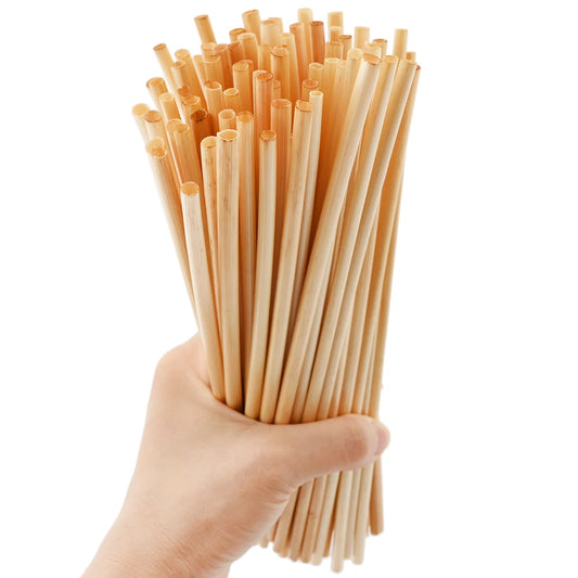 Biodegradable Wheat Straw Set | Green Gift Collective