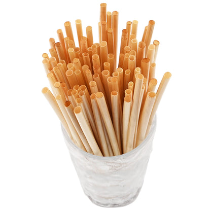 Biodegradable Wheat Straw Set | Green Gift Collective